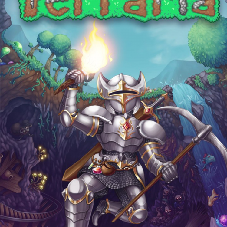 Впн для игры в террарию