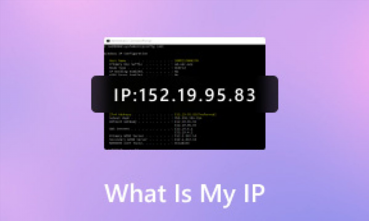 Впн со статичным ip