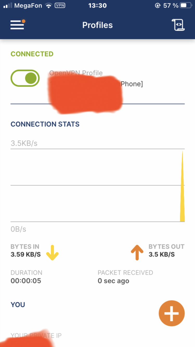 Vpn за 100 рублей